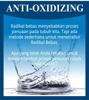 anti-oxidzing kangen water